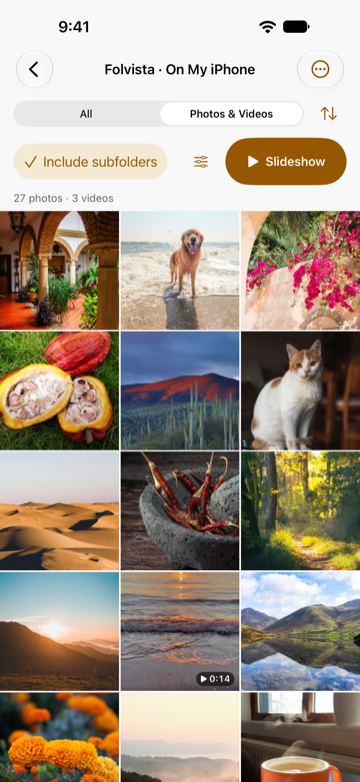A folder in Folvista with Photos & Videos selected and Include subfolders checked, counting 27 photos and 3 videos in a three-column grid of a patio, a dog at the beach, flowers, cacao pods, a cat and desert dunes.