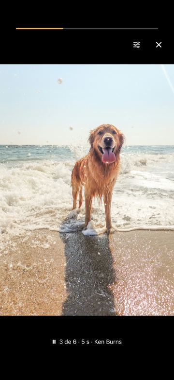 Una presentación a pantalla completa con un perro en la orilla del mar, una barra de avance arriba y el texto «3 de 6 · 5 s · Ken Burns».